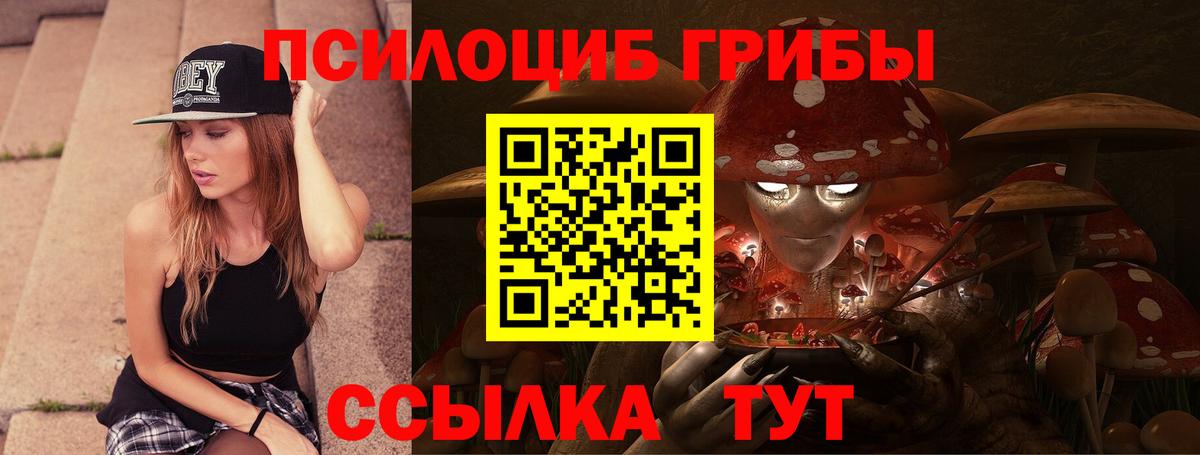 Галлюциногенные грибы Cubensis Волжск